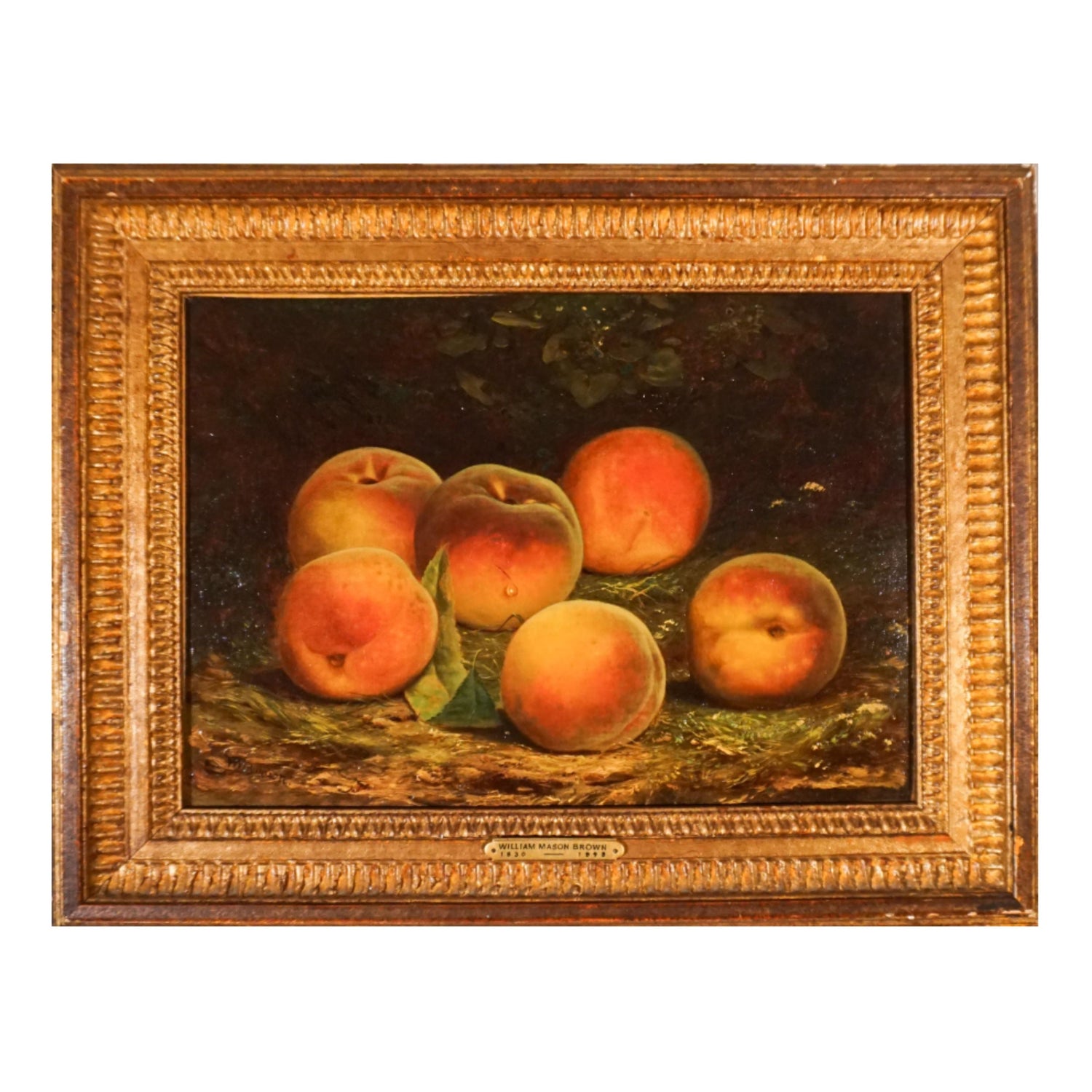 Still Life