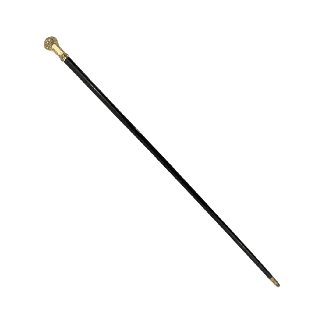 Antique Halifax Cane - Shaft Detail