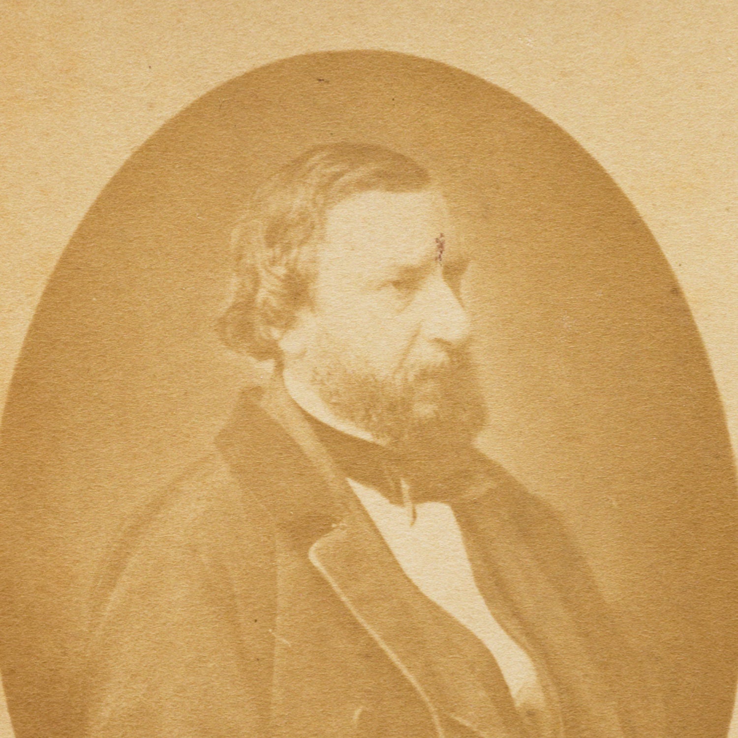 Constant Troyon Biography Portrait