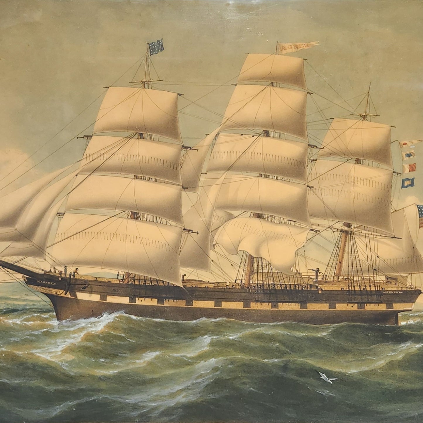 Portrait of the Ship Agnes