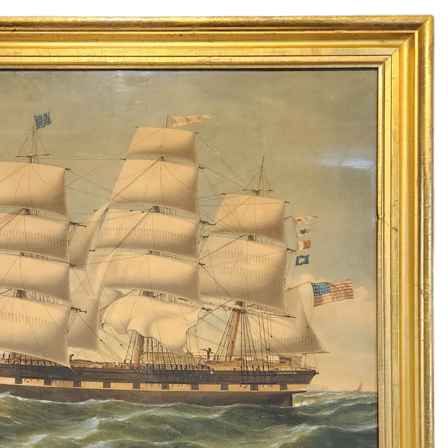 Portrait of the Ship Agnes