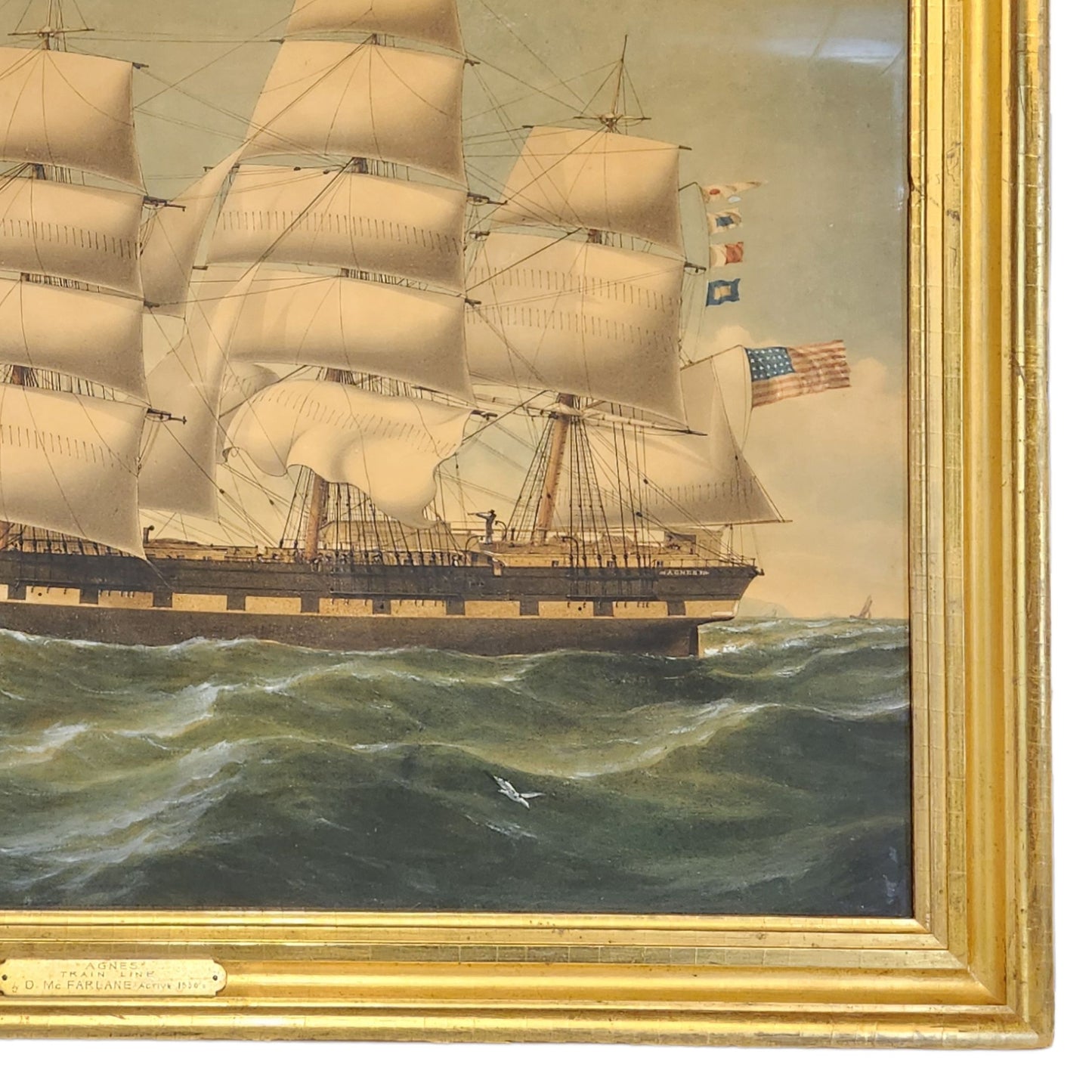 Portrait of the Ship Agnes